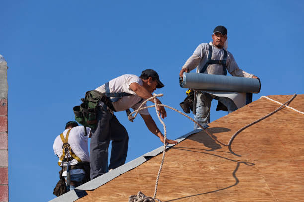 Best Roof Repair Services  in Gberts, IL